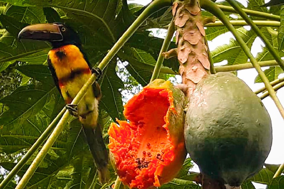 Jardín Botánico José Santiago Molina Calderón