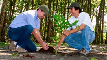 ambiental